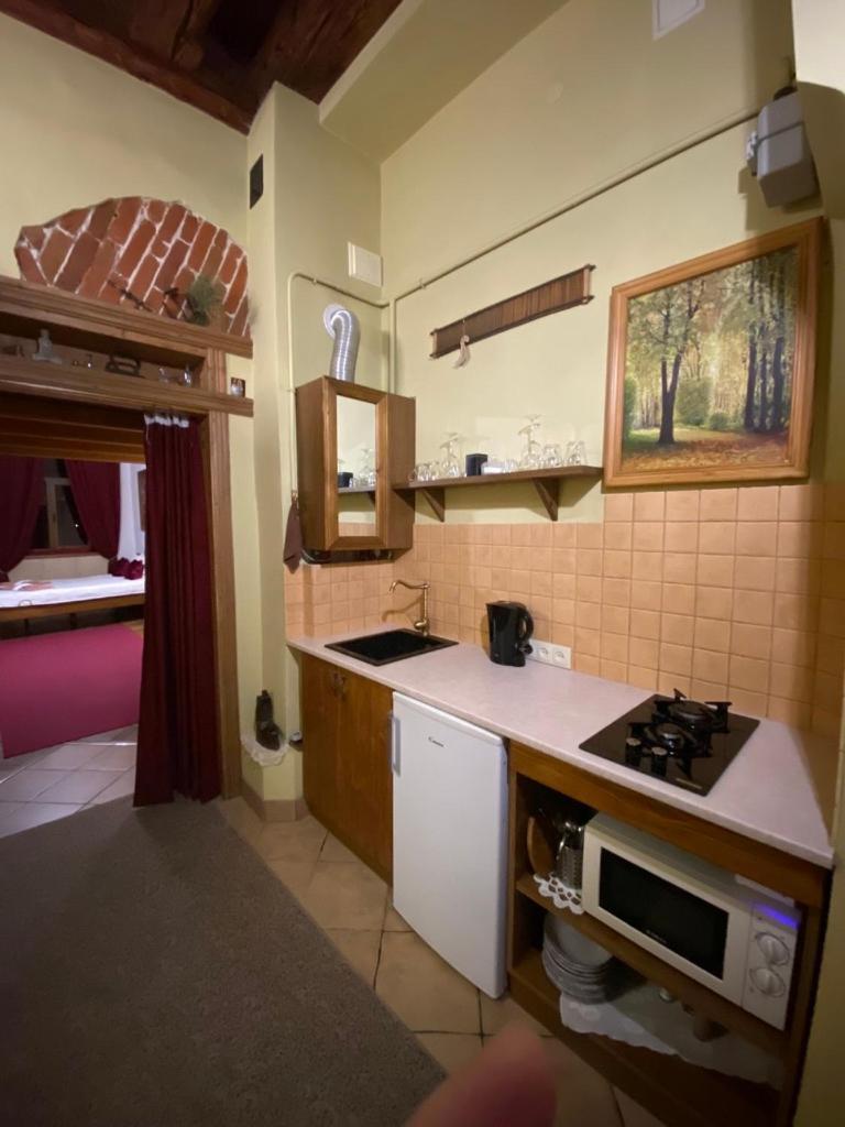 Museum Apartments Lviv Buitenkant foto